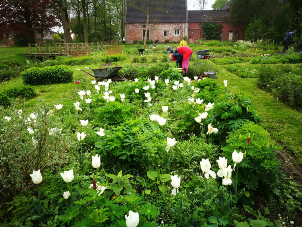 Kloostertuin in Kloosterburen